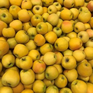Pomme Altess - Au fil des saveurs producteurs fruits légumes
