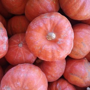 Potimarron - Au fil des saveurs producteurs fruits légumes Manosque
