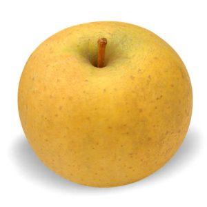 Pomme Chanteclerc au kg