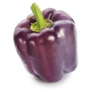 Poivron violet - Au fil des Saveurs Producteur Manosque