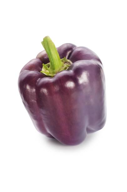 Poivron violet - Au fil des Saveurs Producteur Manosque
